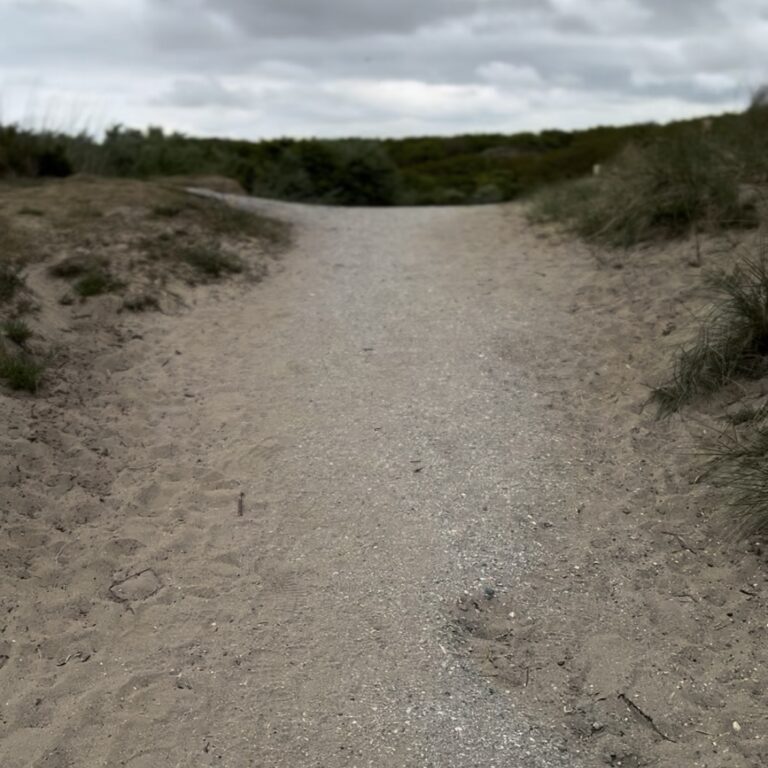 Wandelen in de Kennemerduinen. Een mooi, rustig natuurgebied waar je met je hond naartoe kunt.